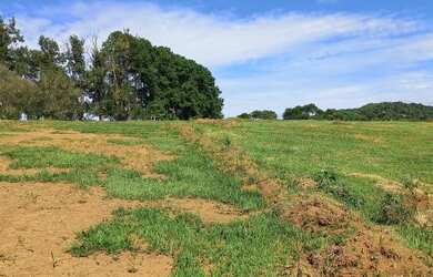 Imagem 6: VENDO CHACARA NA PLANTA. 100m² de Área