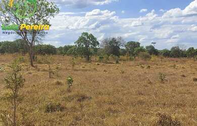 Imagem 5: FAZENDA À VENDA NO VALE DO ARAGUAIA - TO - 1.462 HECTARES (DUPLA APTIDÃO