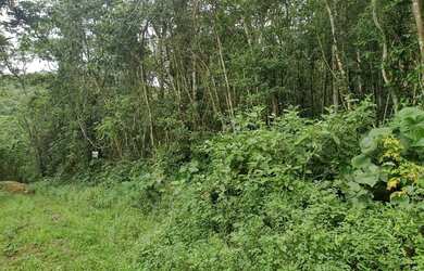 Imagem 13: Terreno à venda, 654 m² por R$ 200.000,00 - Massaguaçu - Caraguatatuba/SP