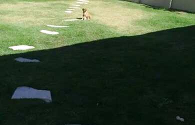 Imagem 8: CASA EM CONDOMÍNIO - CONDOMÍNIO FLOR DA SERRA - SP