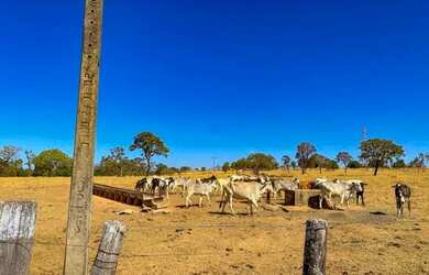 Imagem 8: Propriedade rural para investimento: fazenda com equipamentos e infraestrutura em Luziânia