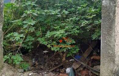 Imagem 2: Terreno à venda, 250 m² por R$ 145.000,00 - Massaguaçu - Caraguatatuba/SP