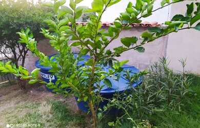 Imagem 4: Vendo imóvel escriturado