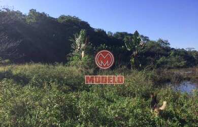 Imagem 4: Sítio à venda, 100000 m² por R$ 5.000.000,00 - Residencial Paineiras...