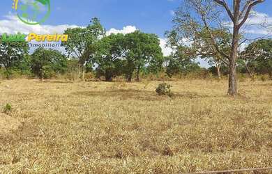 Imagem 6: FAZENDA À VENDA NO VALE DO ARAGUAIA - TO - 1.462 HECTARES (DUPLA APTIDÃO
