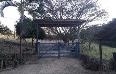 Imagem 5: Chacra 10 alq cultura boa d x27 água muito barata