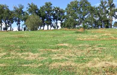 Imagem 12: VENDO CHACARA NA PLANTA. 100m² de Área