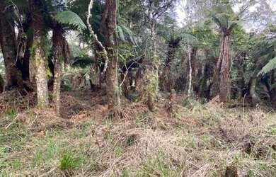 Imagem 5: Terreno de 2 hectare em Urubici