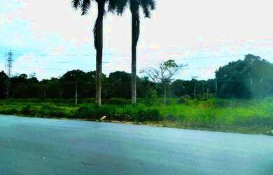 Imagem 1: Terreno 118.000M². 118.000m² de Área