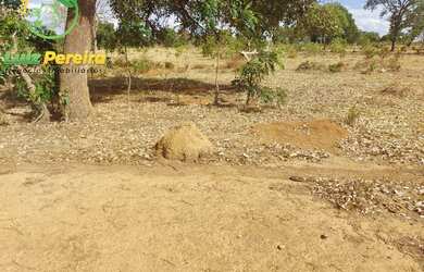 Imagem 12: FAZENDA À VENDA NO VALE DO ARAGUAIA - TO - 1.462 HECTARES (DUPLA APTIDÃO