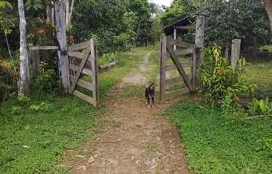 Imagem: A chácara está localizado em Eldorado, Porto Velho à venda
