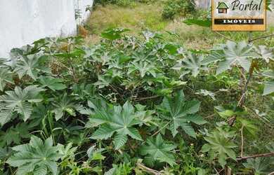 Imagem: O terreno possui 250m² de Área e está localizado em Jardim