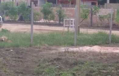 Imagem 3: Em belterra barrato. 