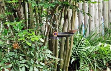 Imagem 5: Casa de condomínio a venda em Golf Quatro Rodas Residencial