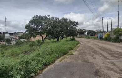 Imagem: O terreno possui 360m² de Área e está localizado em Juatuba