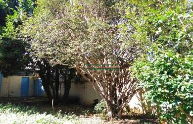 Imagem 10: Casa, 379 m² - venda por R$ 1.850.000,00 ou aluguel por R$ 8.000,00/mês...