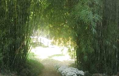 Imagem 16: Chácara Residencial ou Comercial, 4350 m² - venda por R$ 1.600.000 ou...