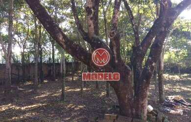 Imagem 16: Sítio à venda, 100000 m² por R$ 5.000.000,00 - Residencial Paineiras...