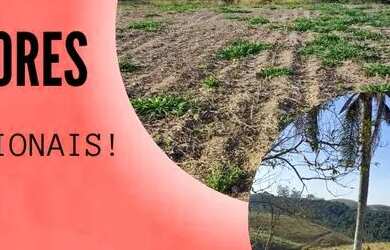 Imagem: O terreno e possui Dormitórios, Suítes, Banheiros, 500-0m²