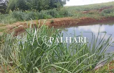 Imagem: A fazenda possui 20000m² de Área e está localizado em Paiçandu