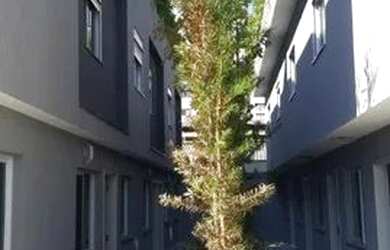 Imagem 2: Condomínio Fechado - Tatuapé - em frente ao Parque do Piqueri