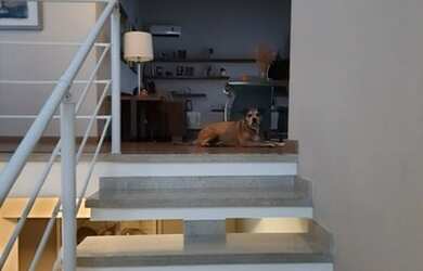 Imagem 11: SANTANA DE PARNAíBA - Casa de Condomínio - Tamboré