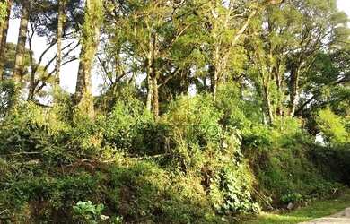 Imagem: O terreno possui 379m² de Área e está localizado em Canela