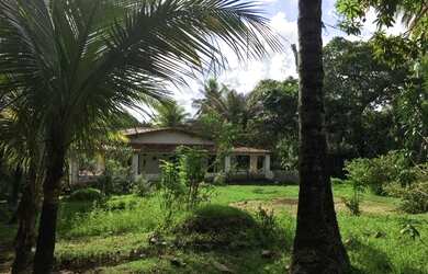 Imagem: A chácara possui 5.132m² de Área e está localizado em Cassange