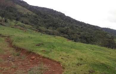 Imagem 13: Oportunidade em pinhão