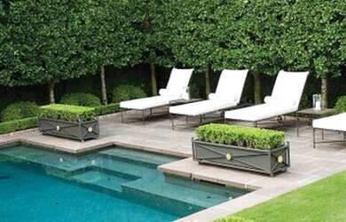 Imagem: A fazenda possui 500m² de Área e está localizado em Jardim