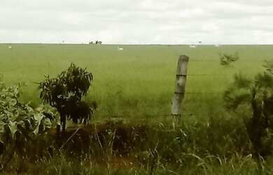 Imagem 6: Fazenda em Niquelândia 1