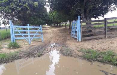 Imagem 5: Fazenda em Niquelândia 1