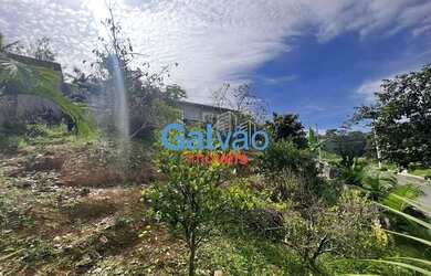 Imagem 9: Terreno à venda no bairro Jardim Figueira Grande - São Paulo/SP, Zona...