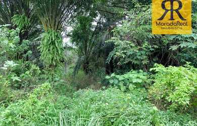 Imagem 6: Área à venda, 14198 m² por R$ 1.950.000 - Centro - Itapissuma/PE