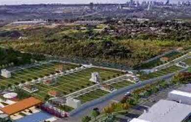 Imagem 2: Super Oferta Florais Safira