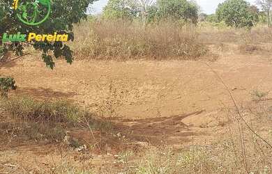 Imagem 13: FAZENDA À VENDA NO VALE DO ARAGUAIA - TO - 1.462 HECTARES (DUPLA APTIDÃO