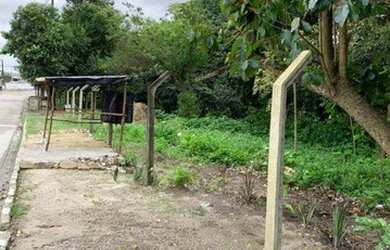 Imagem 2: Área à venda, 14198 m² por R$ 1.950.000 - Centro - Itapissuma/PE