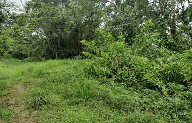 Imagem 15: Terreno à venda, 654 m² por R$ 200.000,00 - Massaguaçu - Caraguatatuba/SP