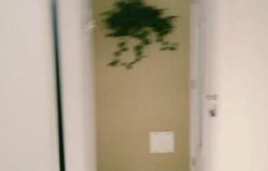 Imagem 12: APARTAMENTO RESIDENCIAL em SALVADOR - BA, HORTO BELA VISTA