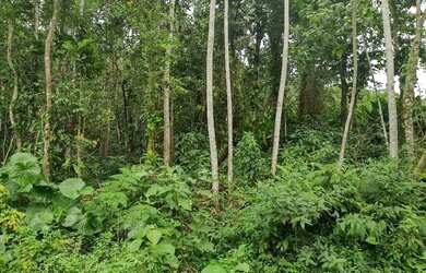 Imagem 11: Terreno à venda, 654 m² por R$ 200.000,00 - Massaguaçu - Caraguatatuba/SP