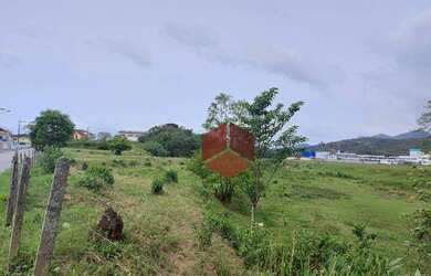 Imagem 7: Área à venda, 33867 m² por R$ 5.000.000,00 - Sertão do Maruim - São...