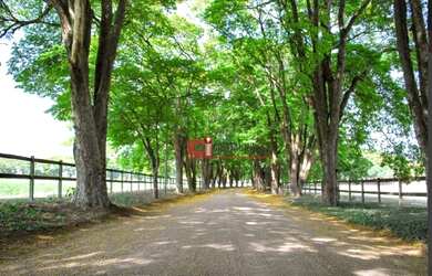 Imagem 12: Terreno à venda, 490 m² por R$ 295.000,00 - Zona Rural - Jaguariúna/SP