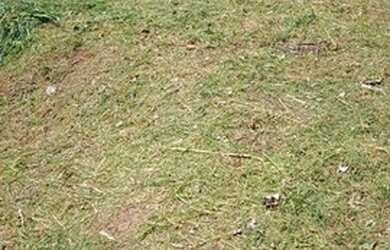 Imagem 10: Terreno à venda, 424 m² por R$ 350.000 - Jardim Paraíso - Campinas/SP