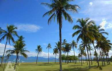 Imagem: A casa possui 5 Dormitórios, 5 Banheiros, 5 Vagas na garagem