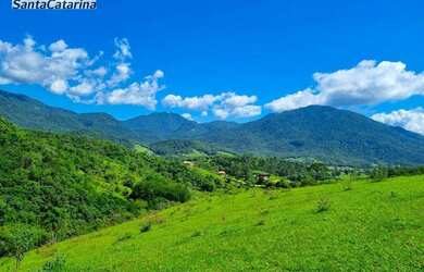 Imagem: A fazenda possui 2000000m² de Área e está localizado em Paulo