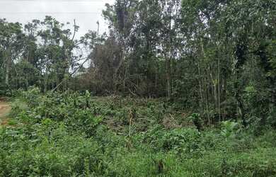 Imagem 6: Terreno à venda, 654 m² por R$ 200.000,00 - Massaguaçu - Caraguatatuba/SP