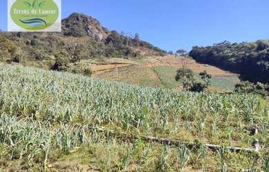 Imagem 10: Sítio à venda, 74000 m² por R$ 650.000,00 - TRÊS PICOS - Nova Friburgo/RJ