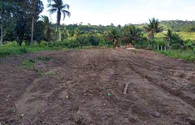 Imagem 4: Vendo terreno. 4.334m² de Área