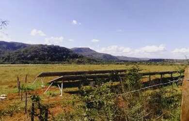 Imagem 8: Vendo granja em Brasilândia 65 hectares FAZENDA ALMÉCEGAS