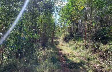Imagem 4: Vendo terreno com linda vista e acesso a cachoeira no boa vista em igarata